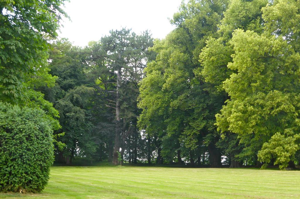 Maison D'Hotes Le Chateau De Puxe Екстериор снимка