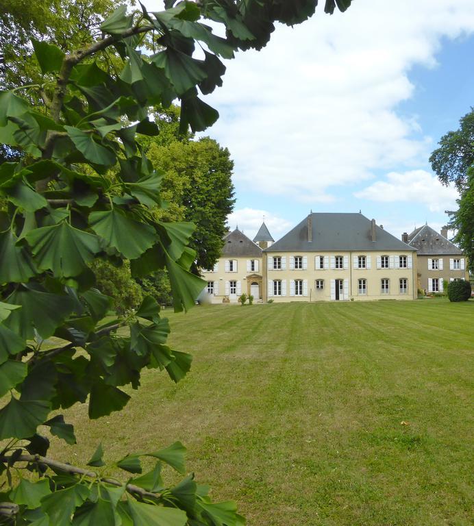 Maison D'Hotes Le Chateau De Puxe Екстериор снимка