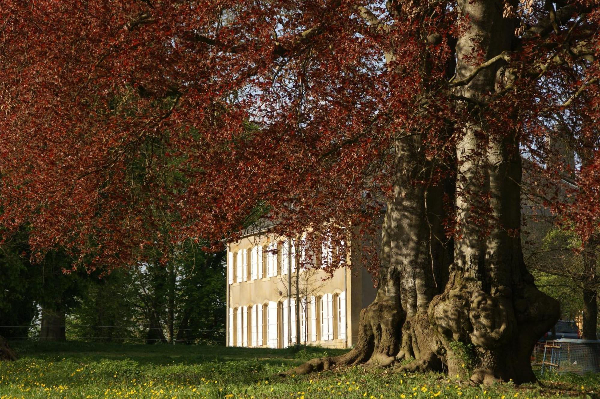 Maison D'Hotes Le Chateau De Puxe Екстериор снимка